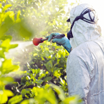 Cum se prepara si se foloseste insecticidul Coragen
